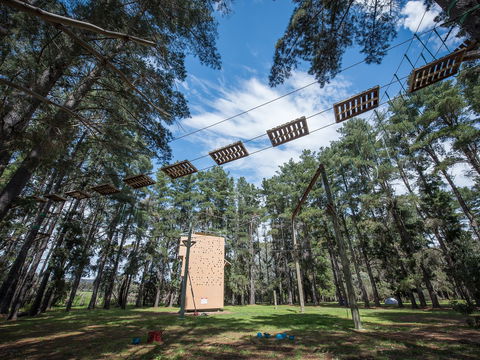 Southern Adventure Hub - Accommodation Sunshine Coast 0