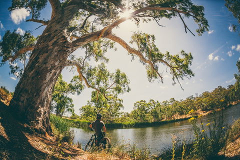 Sturt Gorge Recreation Park - Accommodation Sunshine Coast 0