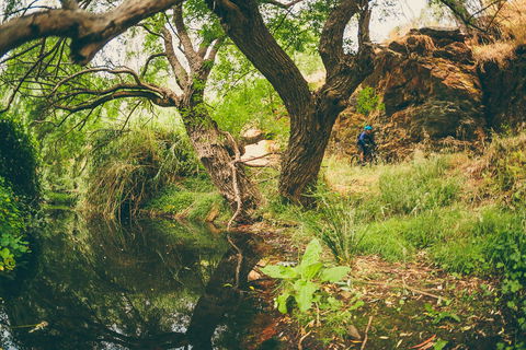 Sturt Gorge Recreation Park - Accommodation Sunshine Coast 1