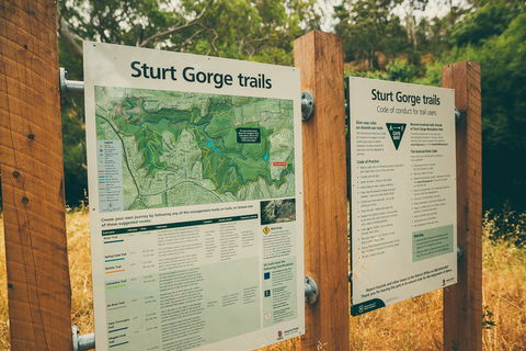 Sturt Gorge Recreation Park - Accommodation Sunshine Coast 2