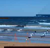 Surf Beach Batemans Bay - Accommodation Sunshine Coast