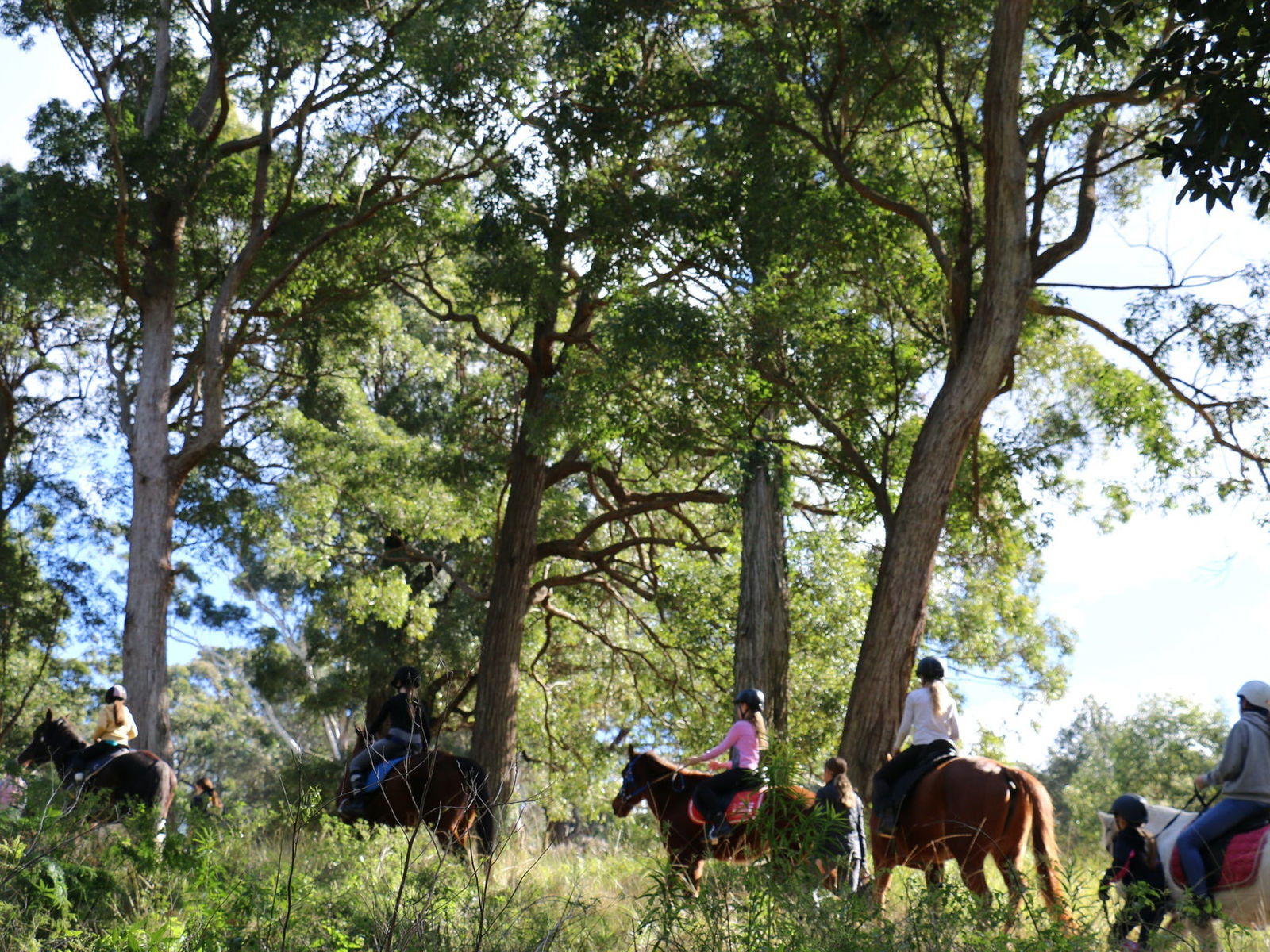  Accommodation Sunshine Coast