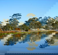 The Gums - Accommodation Sunshine Coast