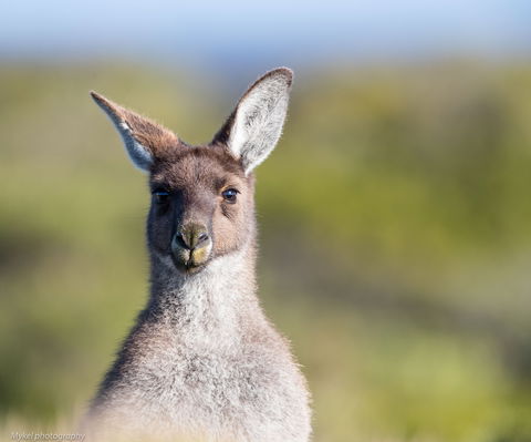 The Sole Walk At Hillocks Drive - Accommodation Sunshine Coast 1