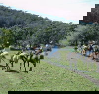 Timbertops - Horse Riding - Accommodation Sunshine Coast