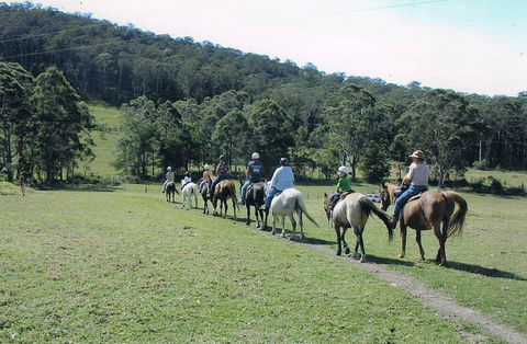 Timbertops - Horse Riding - Accommodation Sunshine Coast 0