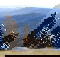 Victoria's High Country - Accommodation Sunshine Coast