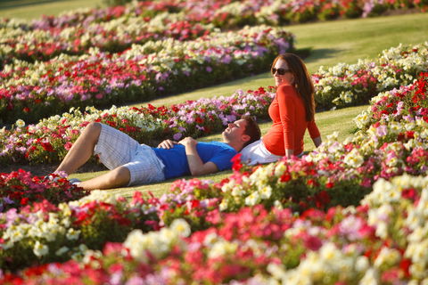 Victoria State Rose Garden At Werribee Park - Accommodation Sunshine Coast 1