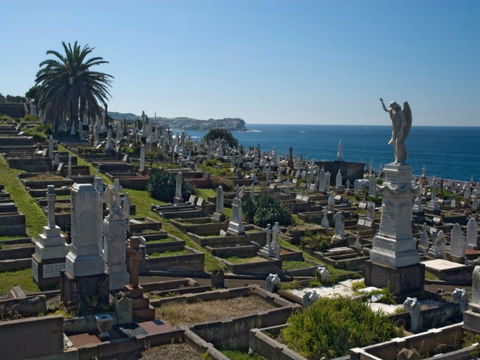 Waverley Cemetery - Accommodation Sunshine Coast 0