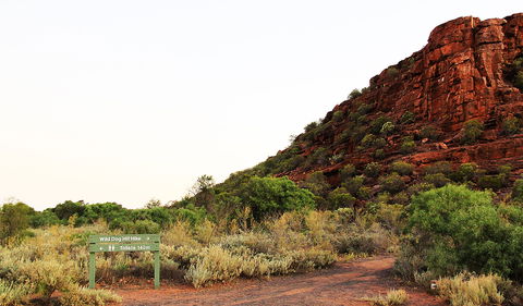 Whyalla Conservation Park - Accommodation Sunshine Coast 0