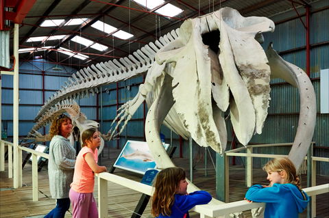 Albany's Historic Whaling Station - Accommodation Sunshine Coast 2