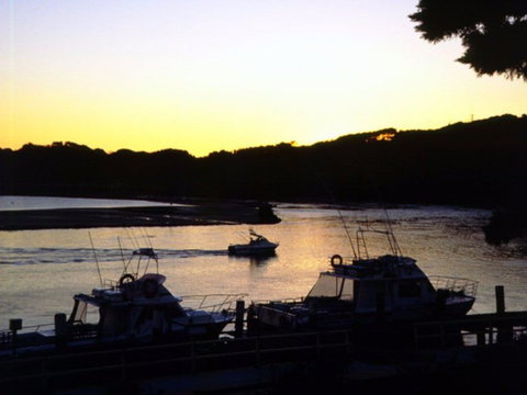 Apex Park Picnic Area Narooma - Accommodation Sunshine Coast 2