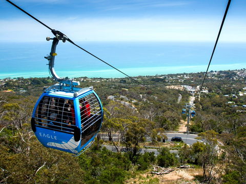 Arthurs Seat Eagle - Accommodation Sunshine Coast 1
