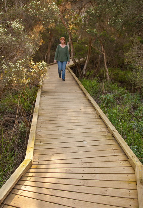 Balcombe Creek Estuary Boardwalk - Accommodation Sunshine Coast 0