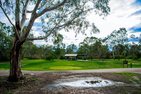 Birrarrung Park - Accommodation Sunshine Coast 0