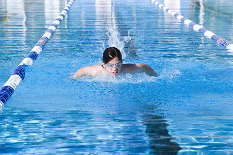 Bomaderry Aquatic Centre - Accommodation Sunshine Coast 0
