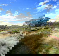 Bullocks walking track - Accommodation Sunshine Coast