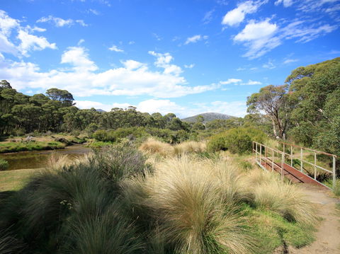 Bullocks Walking Track - Accommodation Sunshine Coast 0