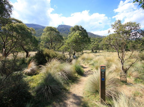 Bullocks Walking Track - Accommodation Sunshine Coast 2
