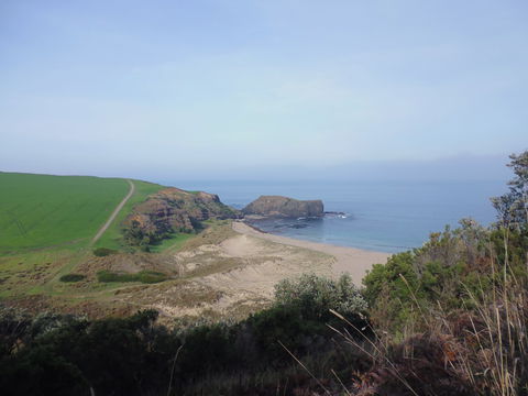 Bushrangers Bay - Accommodation Sunshine Coast 1