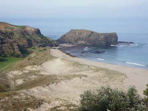 Bushrangers Bay - Accommodation Sunshine Coast 2