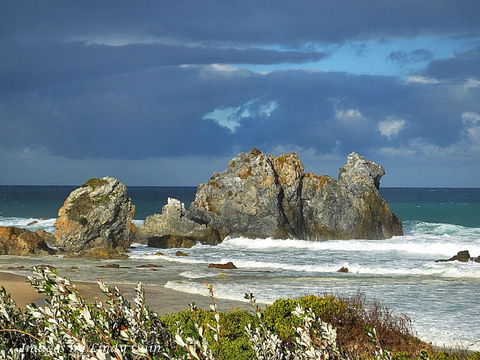 Camel Rock - Accommodation Sunshine Coast 2