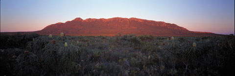 Cape Arid National Park - Accommodation Sunshine Coast 2