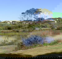 Centennial Park Beachport - Accommodation Sunshine Coast