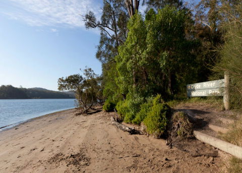 Clyde River National Park - Accommodation Sunshine Coast 0