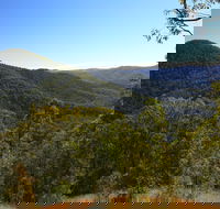 Conondale National Park - Accommodation Sunshine Coast