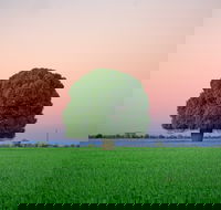 Condamine - Accommodation Sunshine Coast