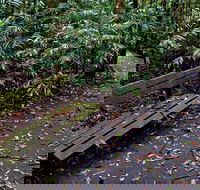 Coombadjha Nature Stroll - Accommodation Sunshine Coast