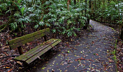 Coombadjha Nature Stroll - Accommodation Sunshine Coast 0