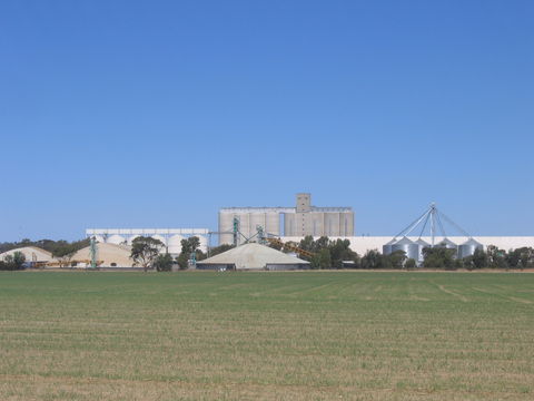 Co-operative Bulk Handling (CBH) Wheat Storage And Transfer Depot - Accommodation Sunshine Coast 1