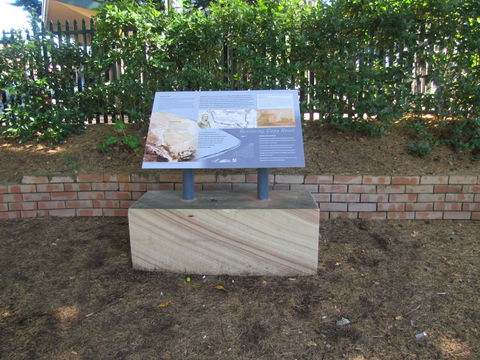 Coxs Road Interpretive Trail - Accommodation Sunshine Coast 0