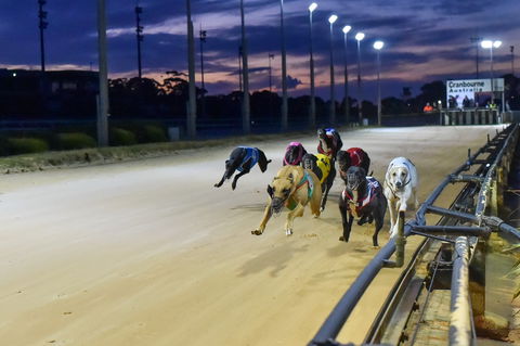 Cranbourne Greyhound Racing Club - Accommodation Sunshine Coast 1