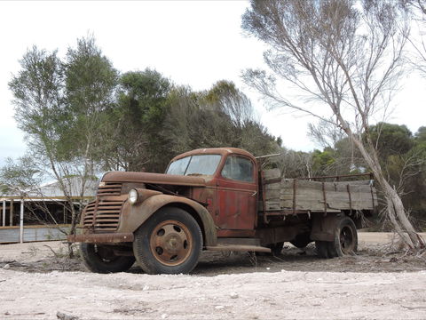 Emu Ridge Eucalyptus Pty Ltd - Accommodation Sunshine Coast 2