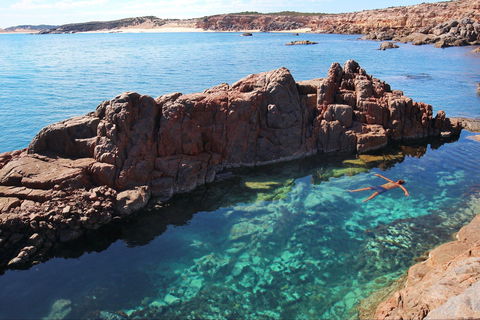 Eyre Peninsula - Accommodation Sunshine Coast 0