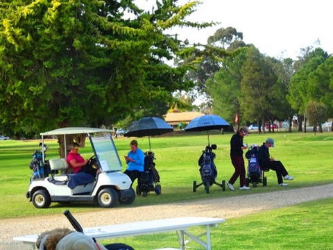 Finley Golf Club - Accommodation Sunshine Coast 1