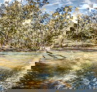 Flea Creek Picnic Area - Accommodation Sunshine Coast