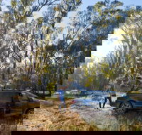 Forest Drive Murrumbidgee Valley National Park - Accommodation Sunshine Coast