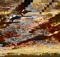 Freycinet Paintball and Campground - Accommodation Sunshine Coast