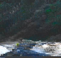 Gardners Falls - Accommodation Sunshine Coast