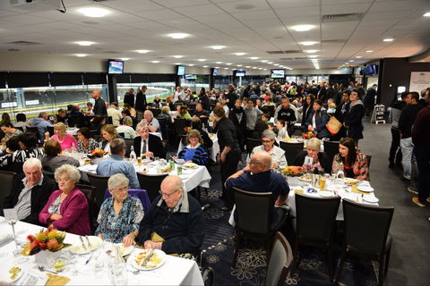 Geelong Greyhound Racing Club - The Beckley Centre - Accommodation Sunshine Coast 1