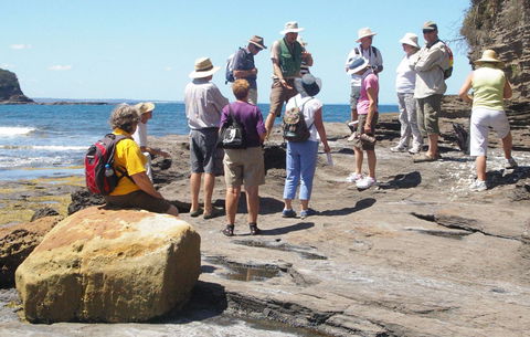 Gondwana Coast Fossil Walk - Accommodation Sunshine Coast 0