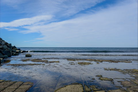 Gondwana Coast Fossil Walk - Accommodation Sunshine Coast 1