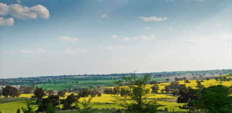 Harden Murrumburrah - Accommodation Sunshine Coast 1