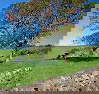 Historic Dry Stone Walls Kiama - Accommodation Sunshine Coast