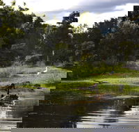 Hunter Wetlands Centre - Accommodation Sunshine Coast