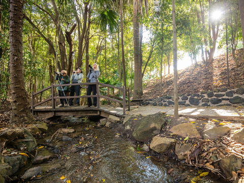 Kholo Gardens Trails - Accommodation Sunshine Coast 1
